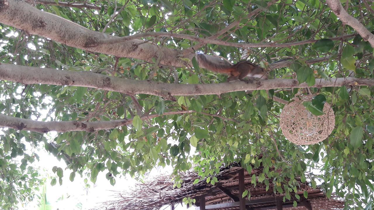 Amazing Villa Matara Buitenkant foto
